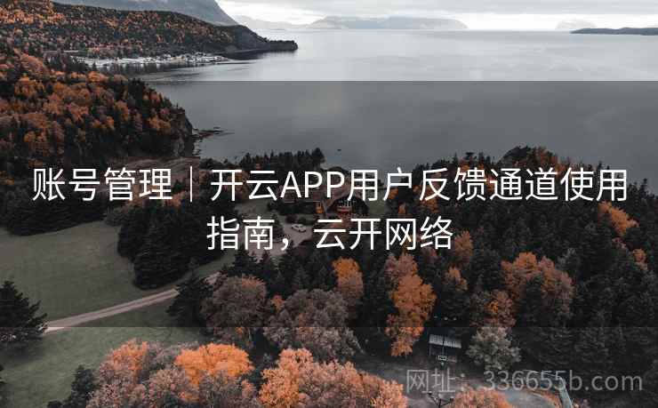 账号管理|开云APP用户反馈通道使用指南,云开网络  第1张 账号管理|开云APP用户反馈通道使用指南,云开网络  第1张