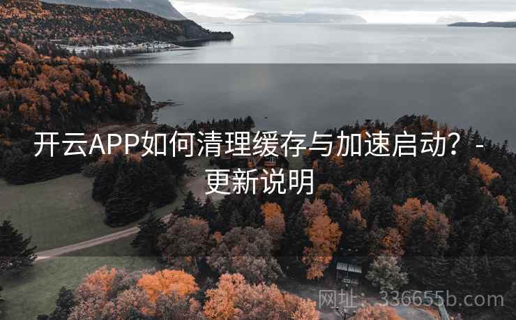 开云APP如何清理缓存与加速启动?-更新说明
