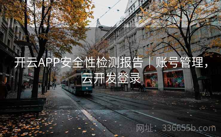 开云APP安全性检测报告|账号管理,云开发登录