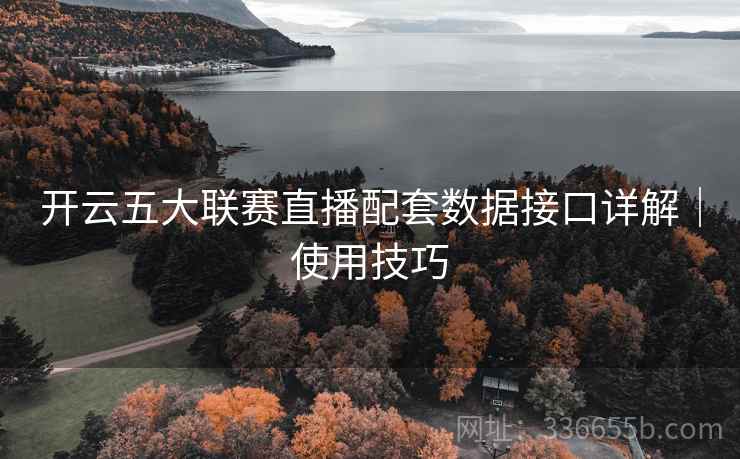 开云五大联赛直播配套数据接口详解|使用技巧