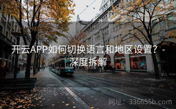 开云APP如何切换语言和地区设置?-深度拆解